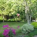 Apartman Self Catering At Beechwalk House.